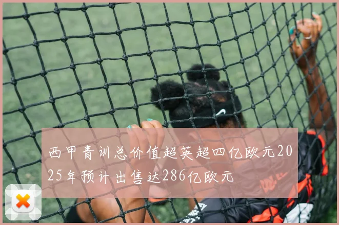 西甲青训总价值超英超四亿欧元2025年预计出售达286亿欧元