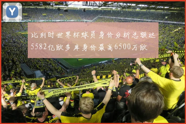 比利时世界杯球员身价分析总额达5582亿欧多库身价最高6500万欧